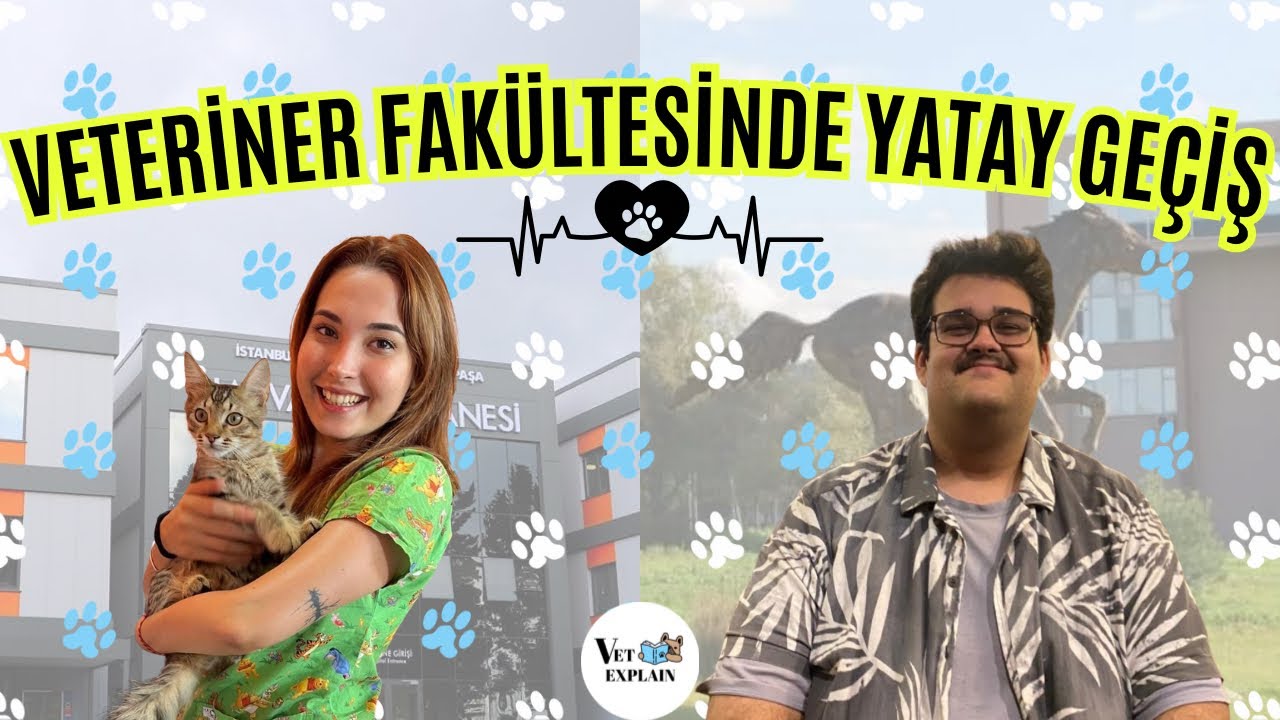 Veteriner Fakültesi’nde A’dan Z’ye Yatay Geçiş! | Deneyim + Tavsiyeler