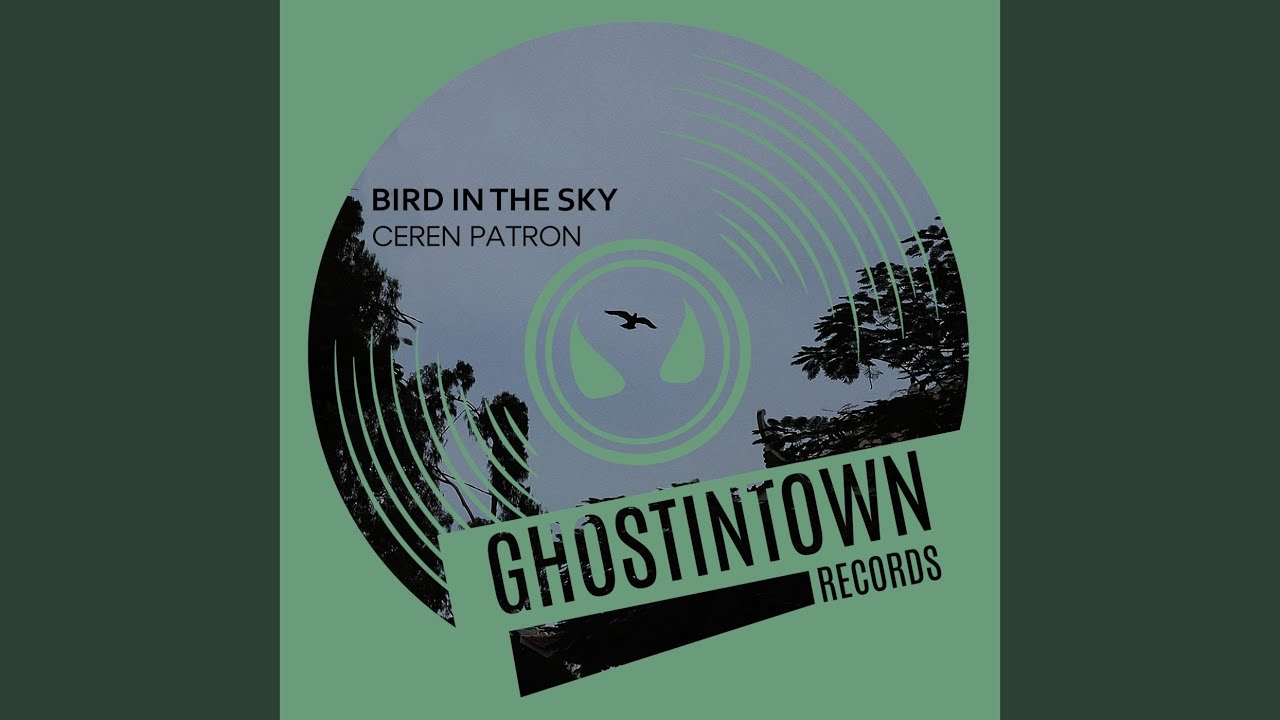 Bird in the Sky