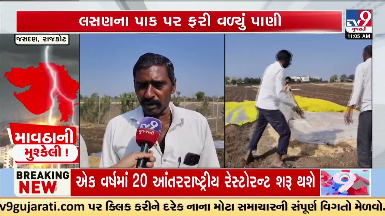 Garlic fields in Jasdan affected badly by stormy weather | Rajkot | Unseasonal Rain | TV9Gujarati