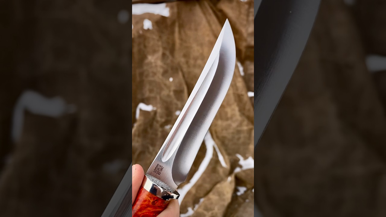🩸Хищный нож &laquo;Хитрый лис&raquo; #ножиназаказ #ножиручнойработы #кузница #knifecommunity #knifeskills #топ