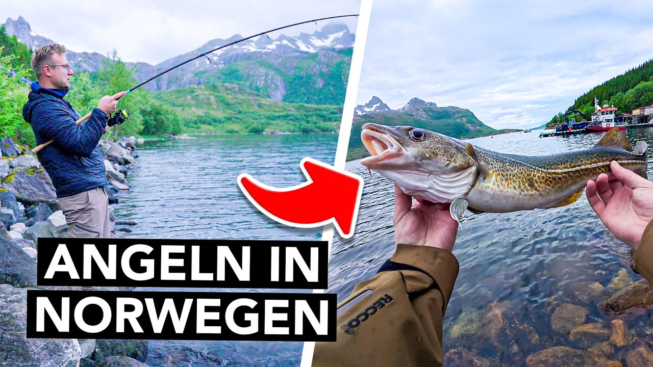 Angeln vom Ufer in Norwegen 🎣 Das musst du als ANF&Auml;NGER wissen 🇳🇴 (Dorsch, Pollack & Co.)