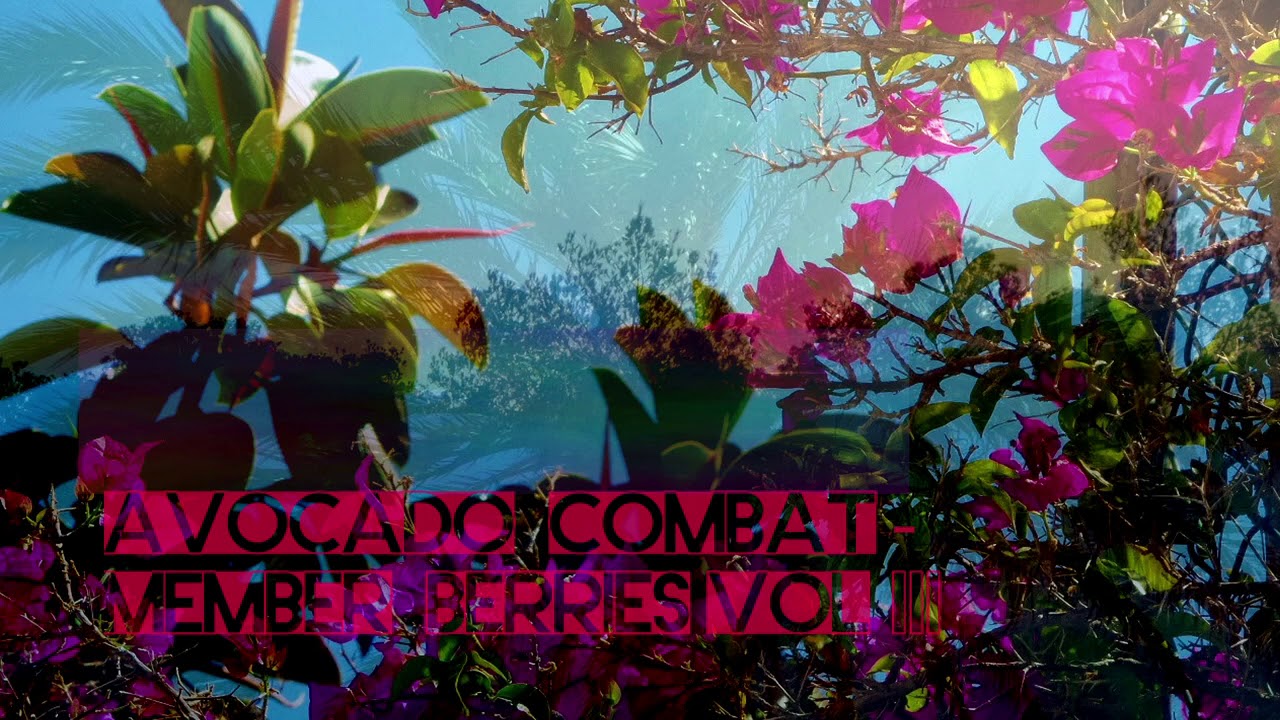 Avocado Combat - Memberberries Vol III [Indie / Chill Mix]