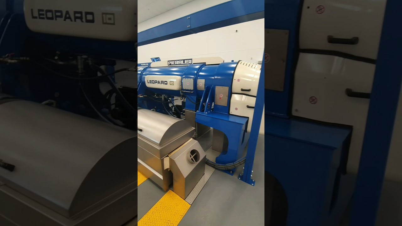Extra Virgen Olive Oil Extraction - Felipe