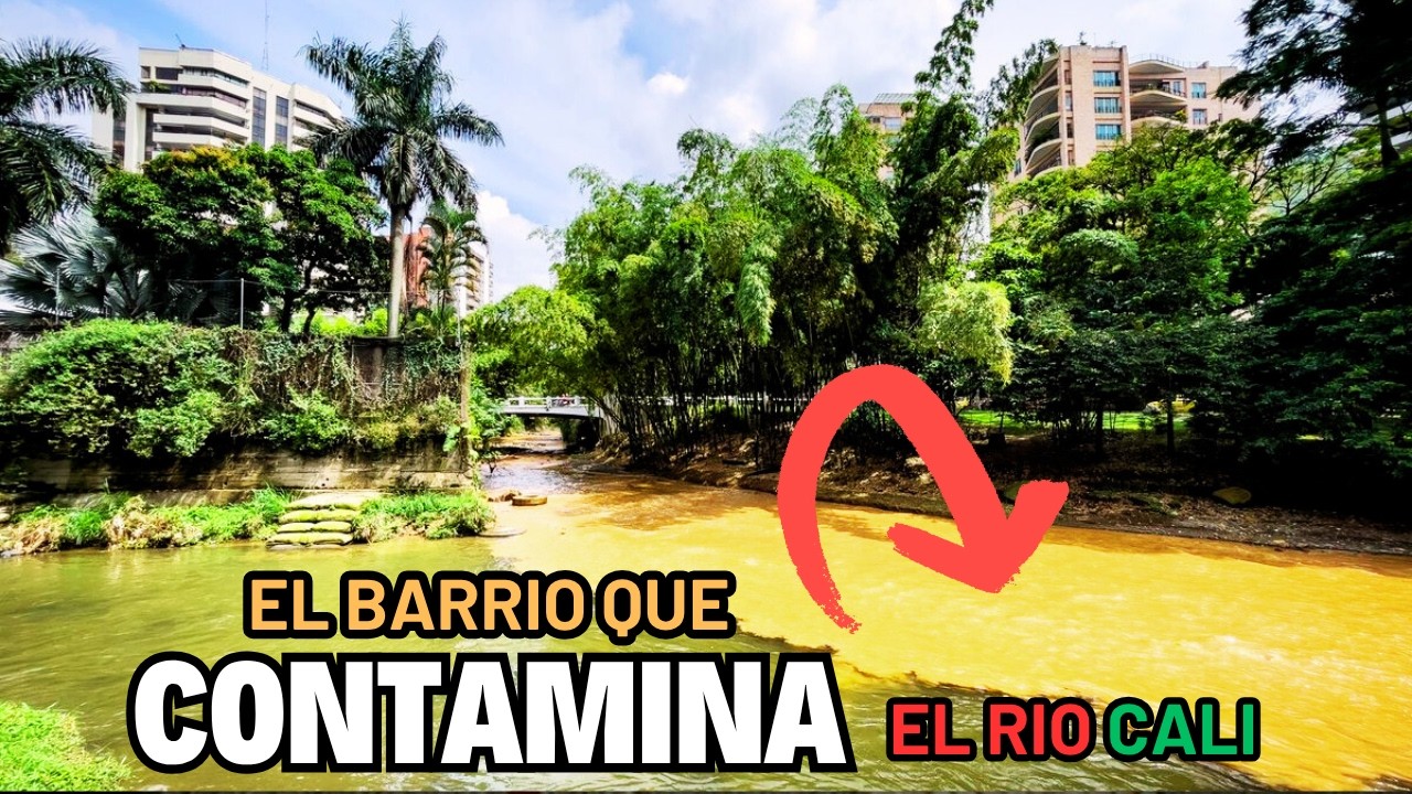 Así son los Barrios Bajo aguacatal y campo alegre Cali