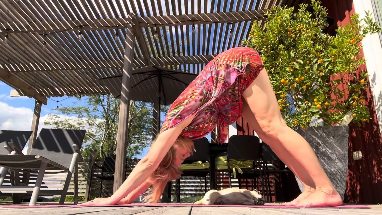 Yoga Class | 15 minutes daily | Day 1965
