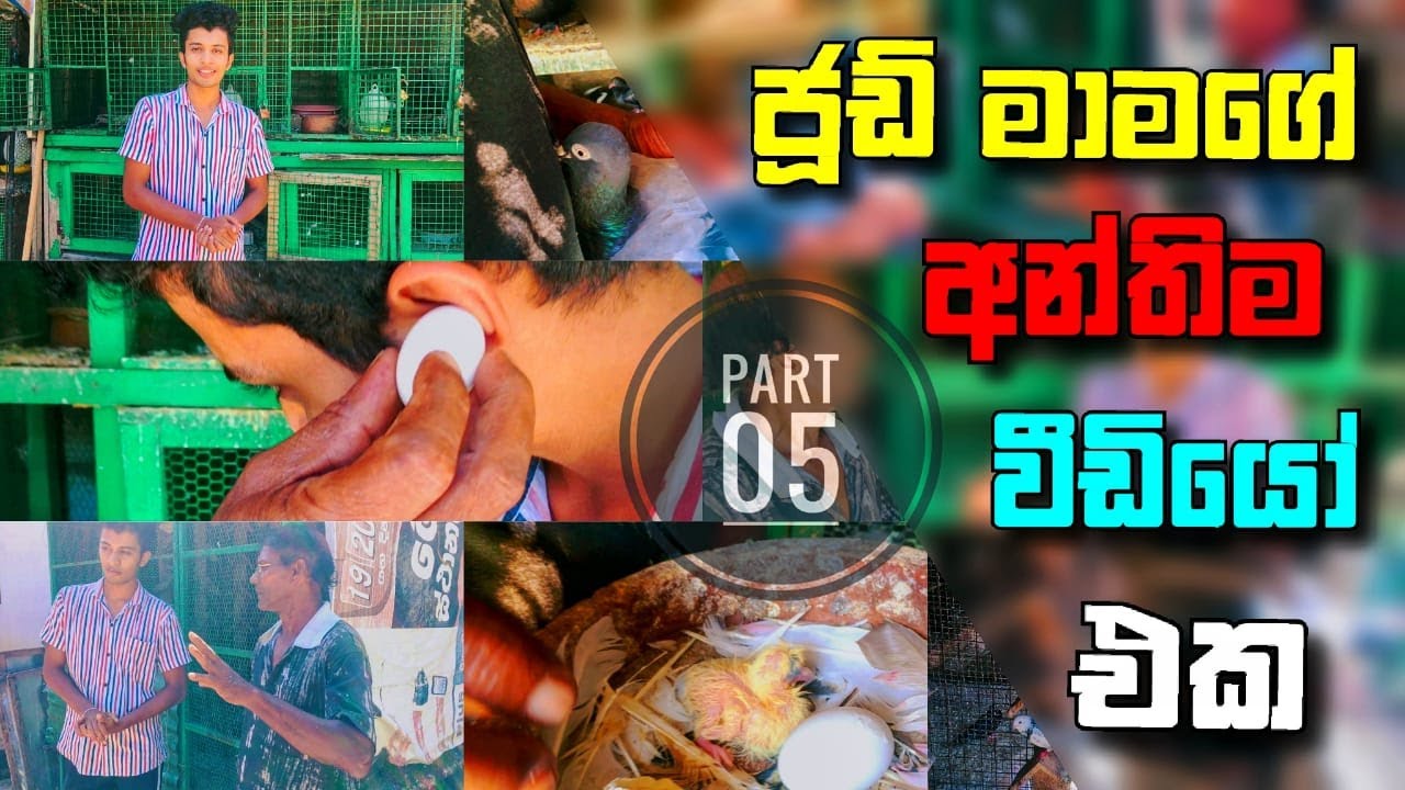 ජූඩ් මාමගේ අන්තිම වීඩියෝ එක