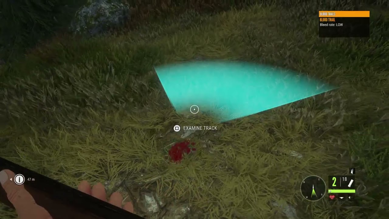 theHunter: Call of the Wild: roosevelvet elk