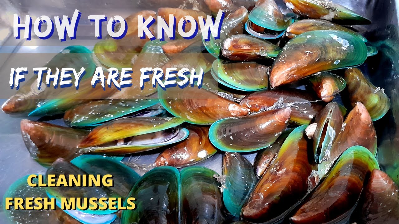How to clean mussels? | Recipe for Mussels (English & Tagalog) 1080p HD