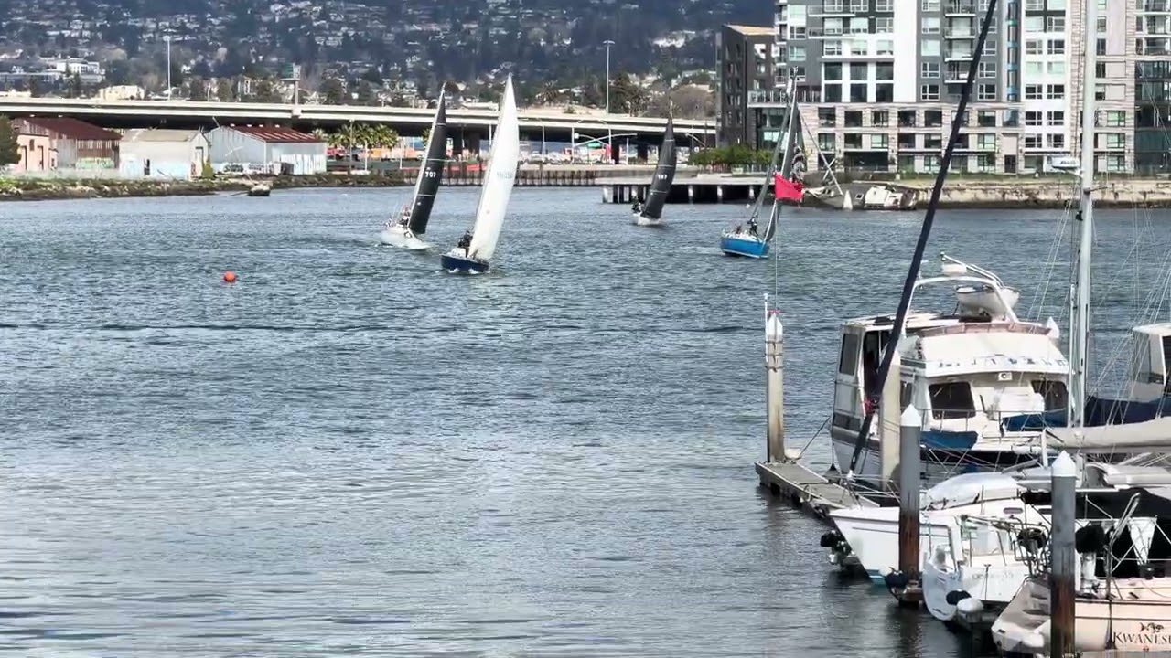 OYC 3-1-26 Brunch Race - Fleet F start (PHRF over 123)