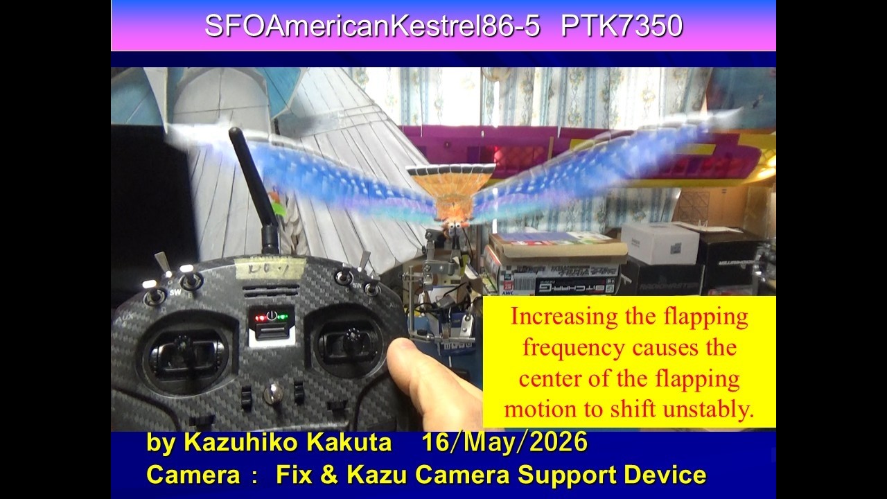 PTK7350  SFOAmericanKestrel86-5 :  flapping shift unstably.
