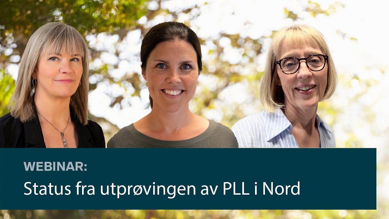 Status og erfaringer fra utprøvingen av Pasientens legemiddelliste i Nord