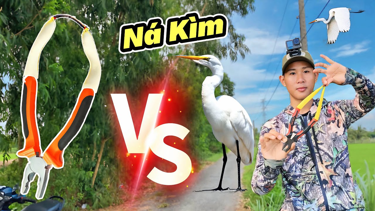 Cầm Thử Cây Kìm Buộc Thun Vào Đi Săn Hàng Khủng Sẻ Như Thế Nào ..??? || Tiến Đạt SlingShot