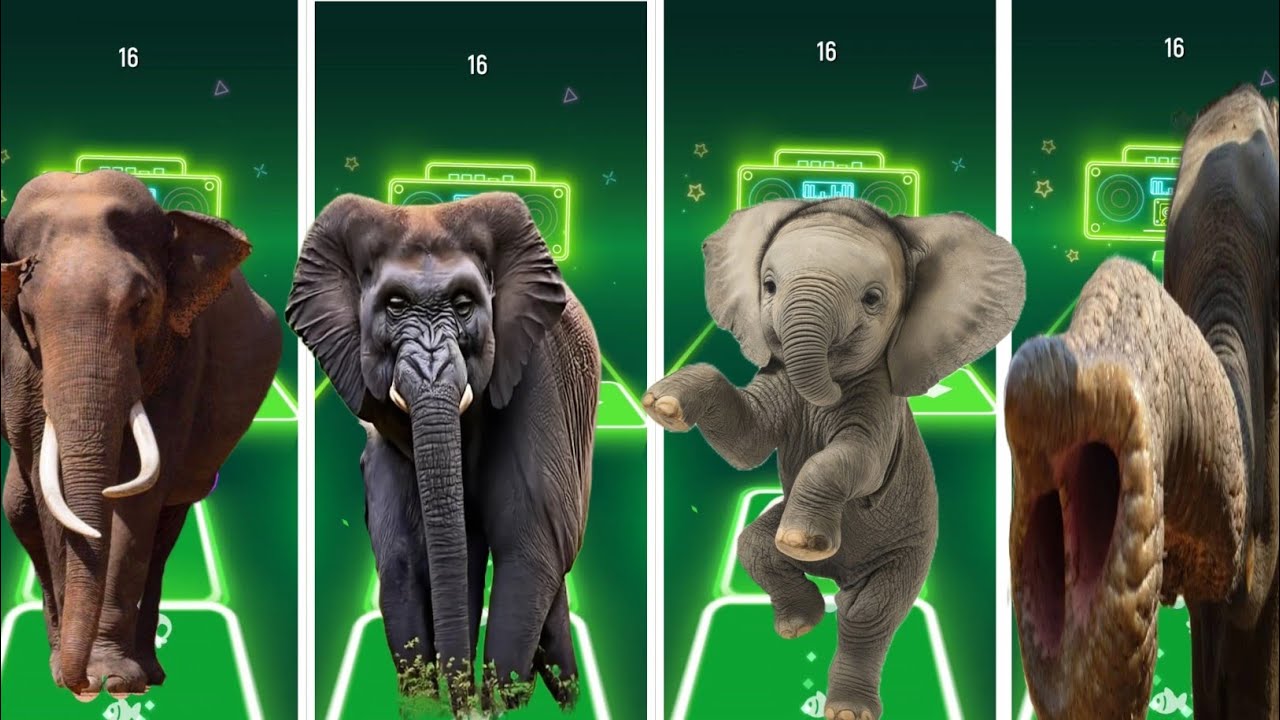 Tiles Hop - Mammoth🆚 Elephant 🆚 Funny Mammoth 🆚 Funny Elephant  🎶 Tiles Hop EDM Rush