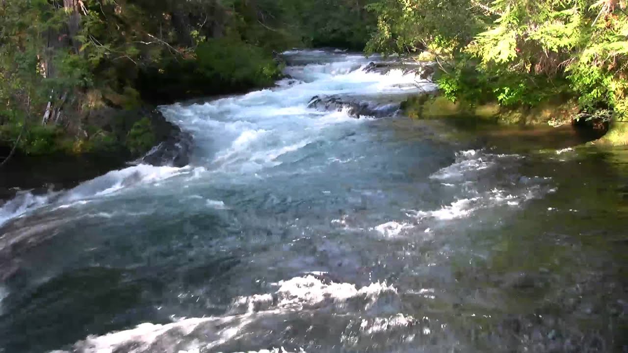 Very Relaxing 3 Hour Video of a Mountain Stream