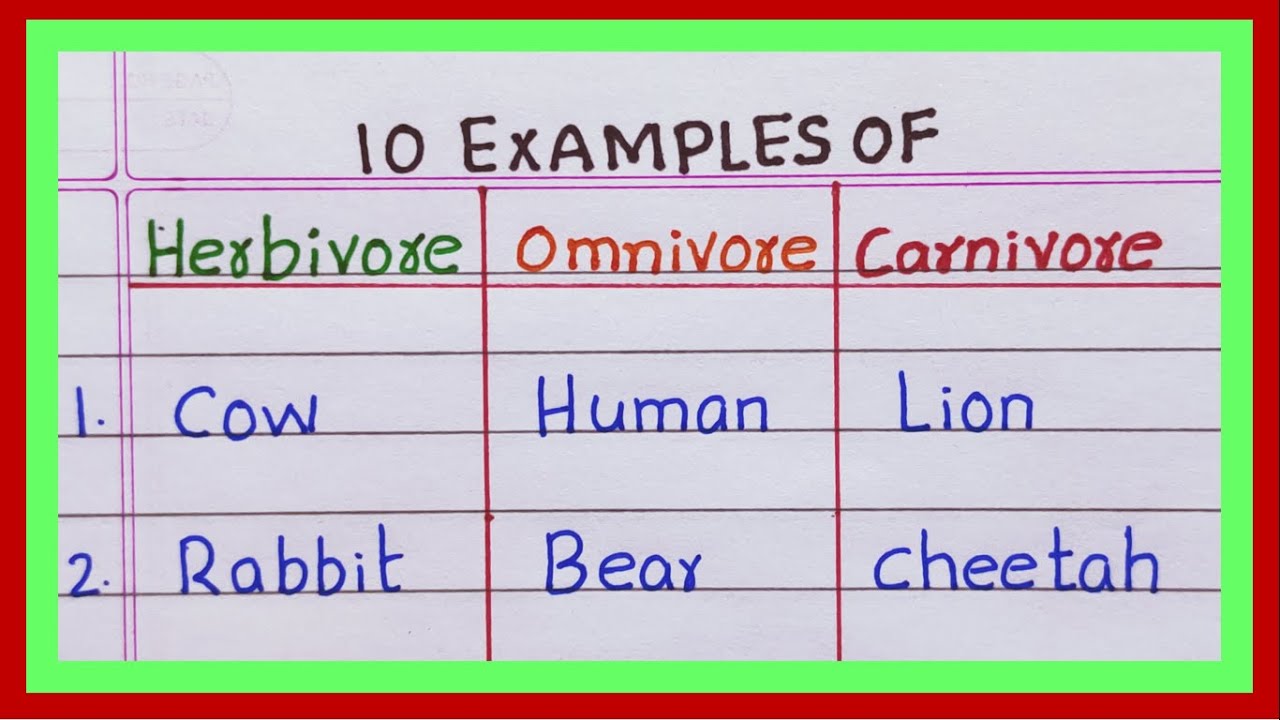 Examples of Herbivores Omnivores Carnivores | 10 Examples of Herbivores Omnivores Carnivores