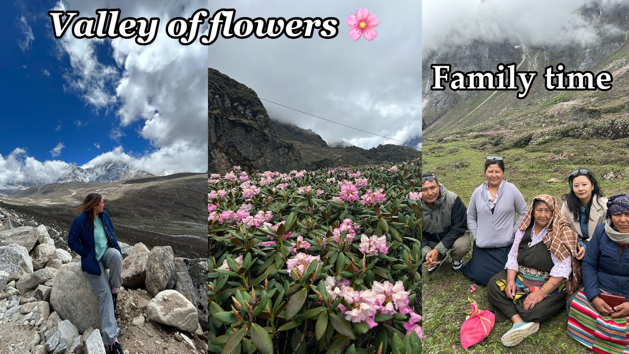 Exploring Yumthang With Family |Breathtaking View|Valley Of Flowers 🌸 |Best Season To Visit North |