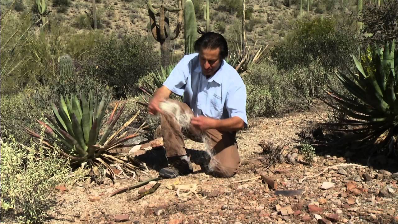 Agave Rope