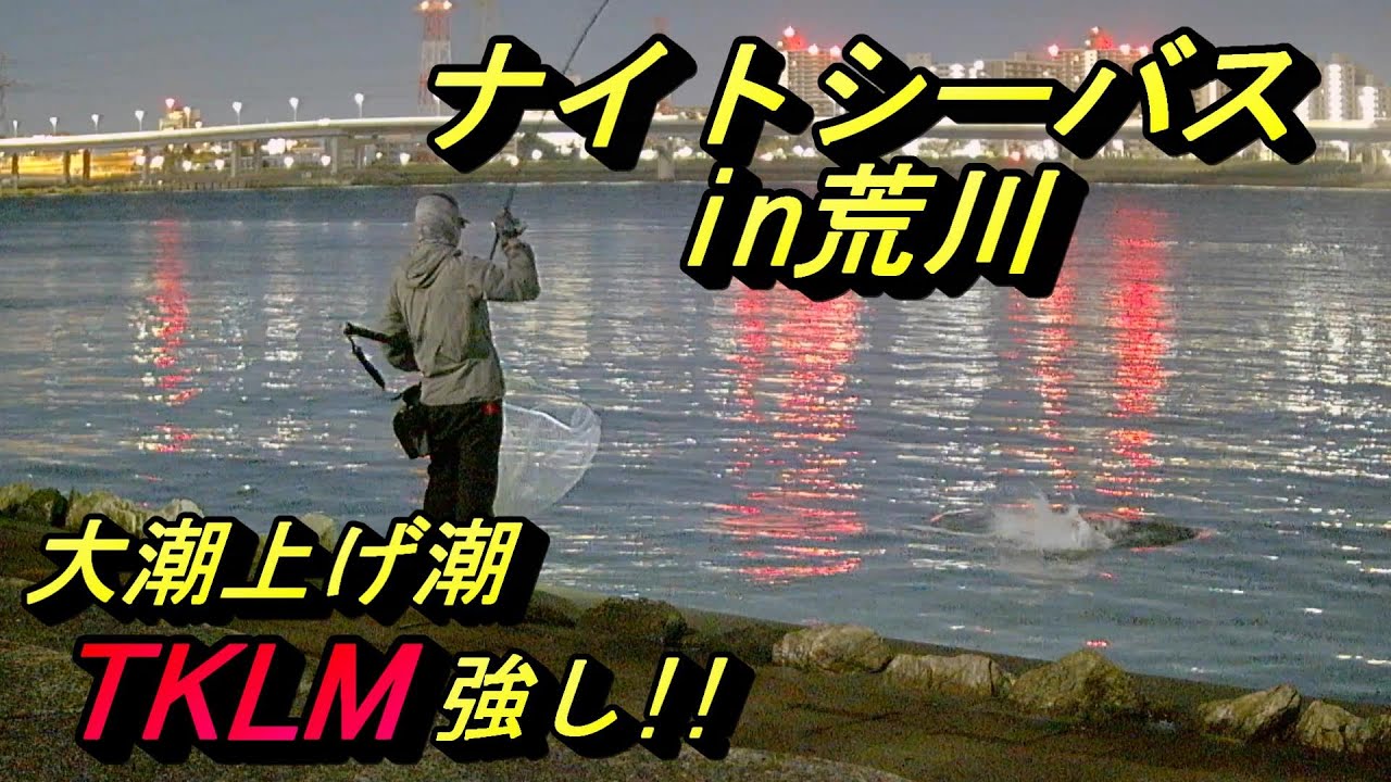 【東京湾奥　荒川】大潮の上げ潮を攻略　ナイトシーバス