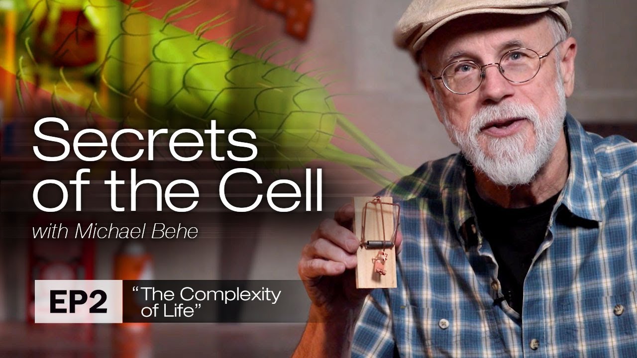 The Complexity of Life (Secrets of the Cell with Michael Behe, Ep. 2)