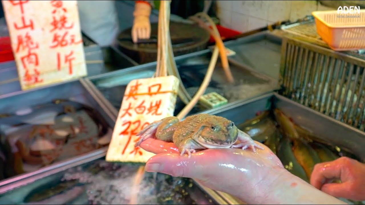 Hong Kong Street Food & Street Scenes in Sham Shui Po