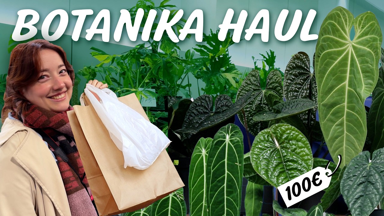 Is This Europe&rsquo;s Best Plant Fair? 🌱 MyBotanika 2025 Tour + Haul