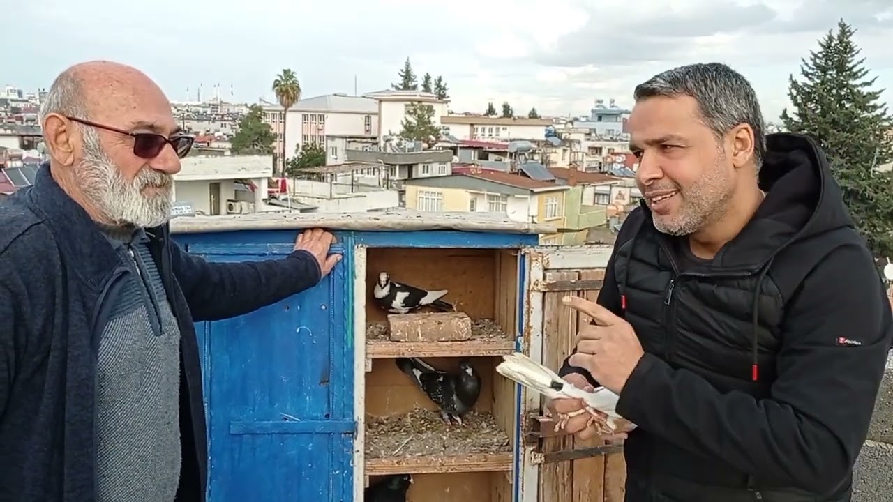 KUŞÇU AZER ORJİNAL ADANA KUŞLARI