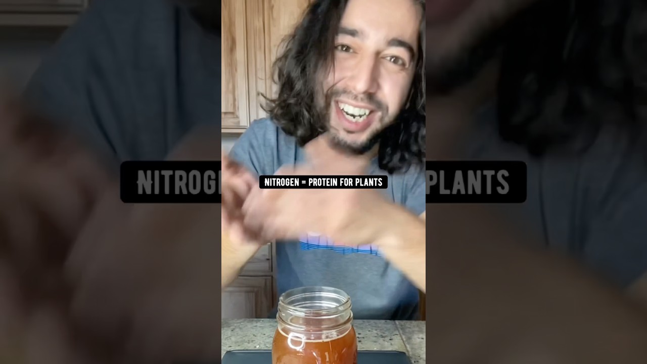 Plants need food too! Make homemade fertilizers out of waste.. creative explained