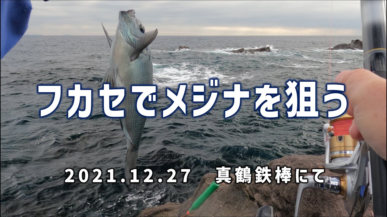 フカセでメジナを狙う 真鶴2025.12.27