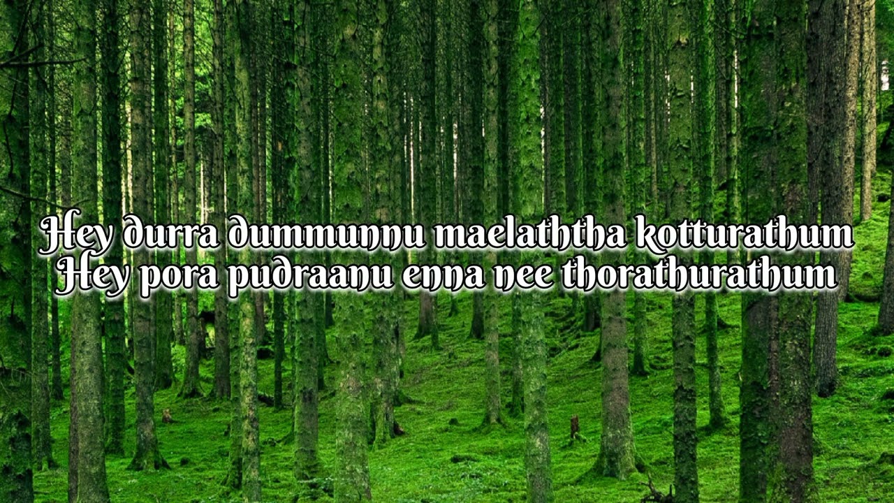 ✨Durrah Dummunu song lyrics from Aathi✨@bubblyraplyrics