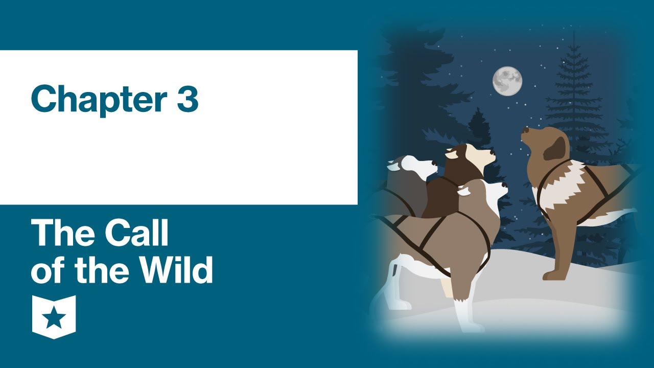 The Call of the Wild by Jack London | Chapter 3