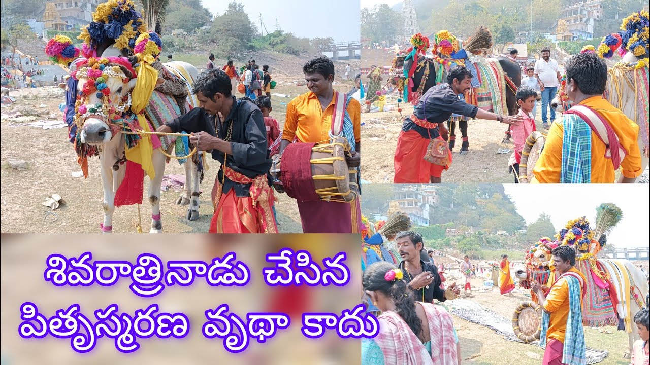 శివజాగరణతో పాటు… పూర్వీకుల స్మరణ🙏 | mahashivaratri | hara hara mahadeva | gangireddula pradarsana
