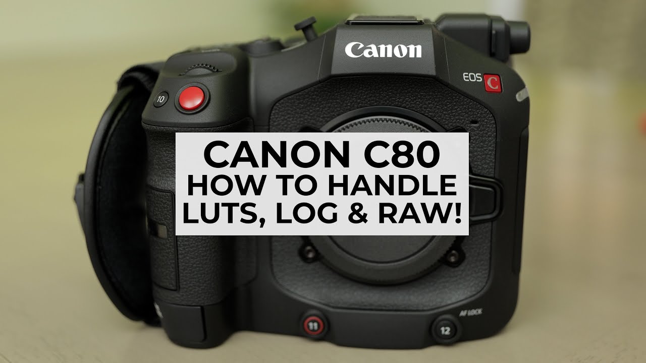 CANON C80 - How To Handle LUTS, LOG & RAW (Where to download and how to apply LUTS)