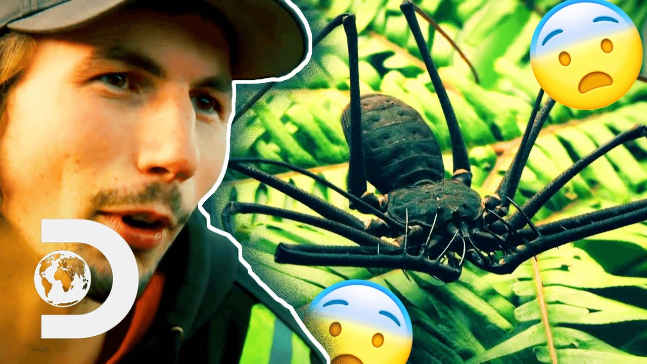 Parker VS The Guyanese Jungle | Gold Rush: Parker's Trail