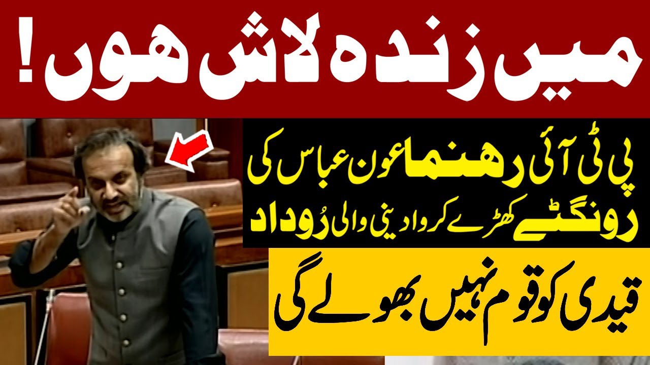 Very Emotional Speech Of PTI Senator Aon Abbas Buppi | Express News