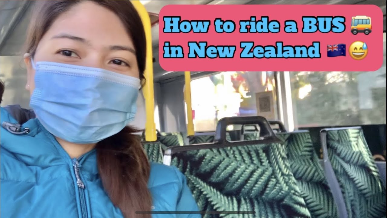 How to use Public Transportation in Wellington 🚌🇳🇿