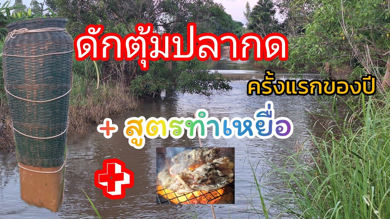 ดักตุ้มปลากดep.13(+สูตรเหยื่อ) ครั้งแรกของปี 66 พอได้อยู่ครับ