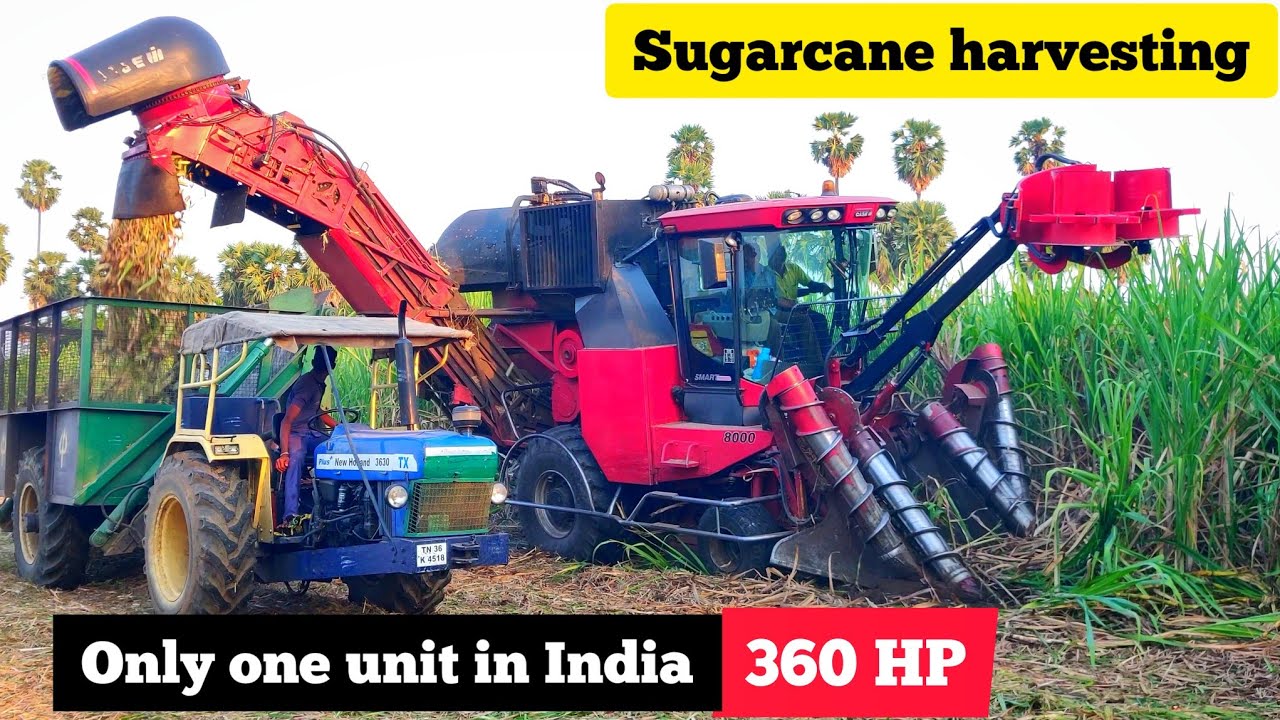 Case IH A8000 360 HP sugar cane harvester Review + performance | Sugar cane Growth and Harvesting