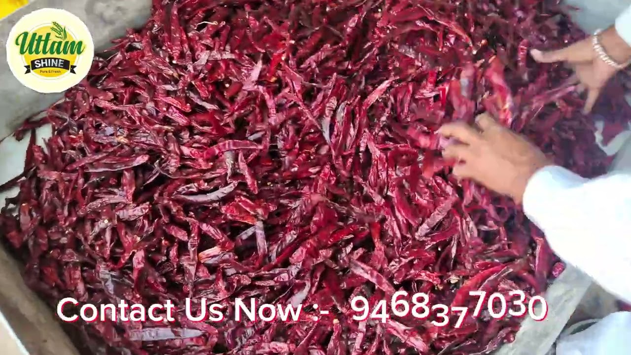 Lal mirchi powder bnane ka pura process