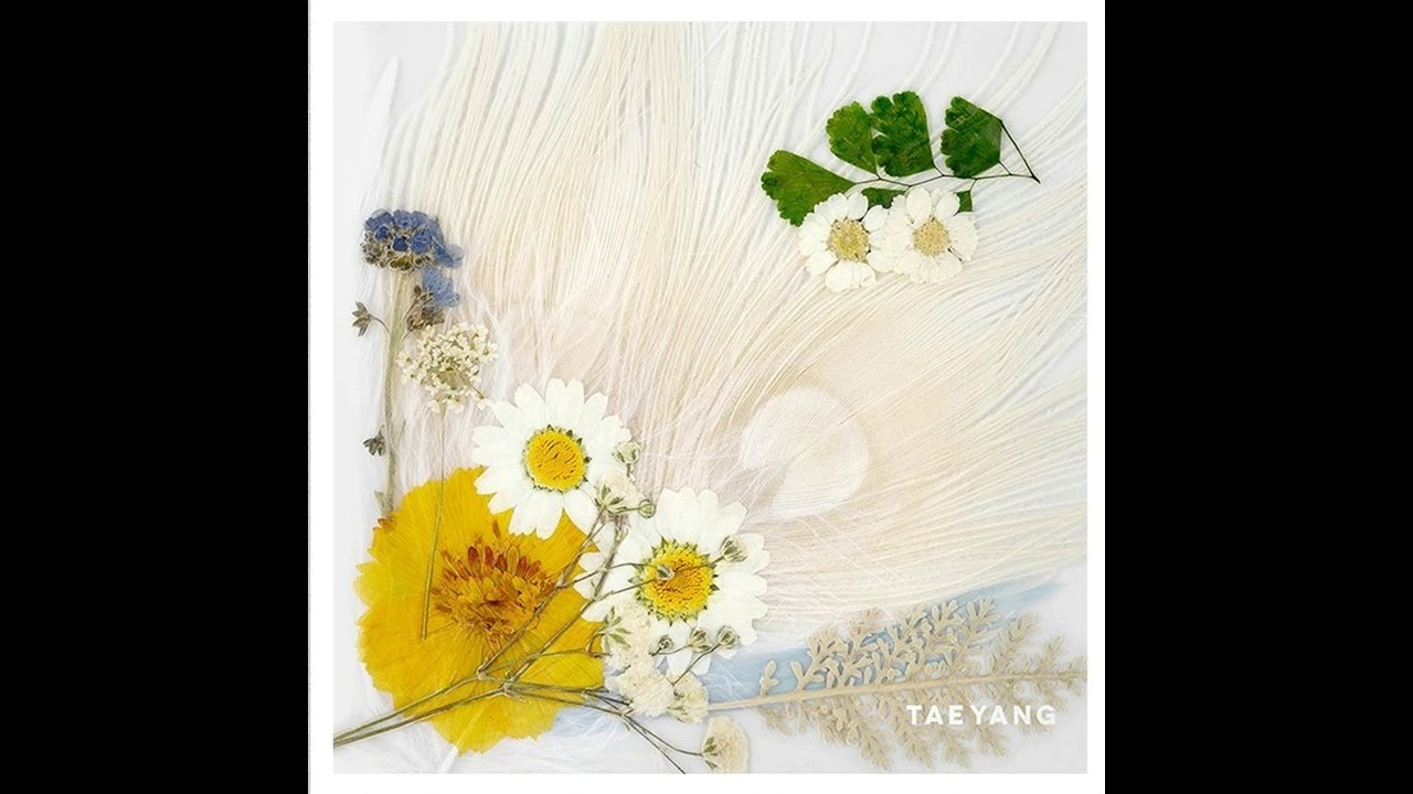 [Taeyang (태양) _ DARLING] Instrumental | 