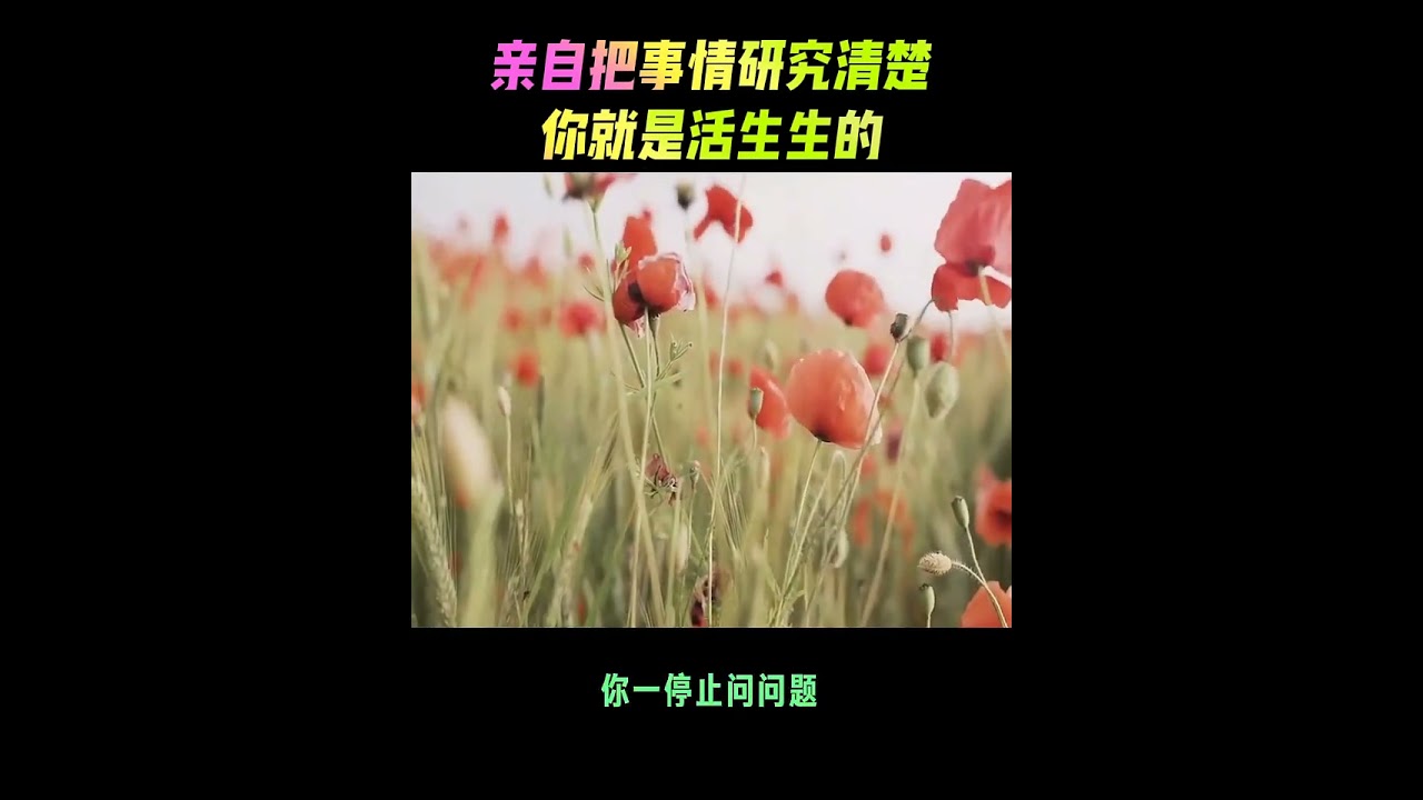 如果你只知道接受，你就会变得机械化、迟钝，其实就已经僵化了；但是如果你亲自把事情研究清楚，那么你就是一个活生生的、充满生命力而富有创意的人。#盲目接受#陷阱#骗局#迟钝#僵化#创意#克里希那穆提