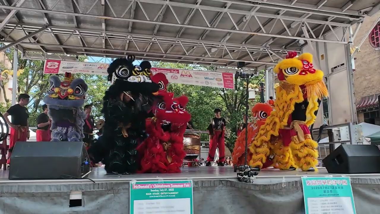 2025 Chicago Chinatown Summer Fair | Yu's Lion Dance of Chicago