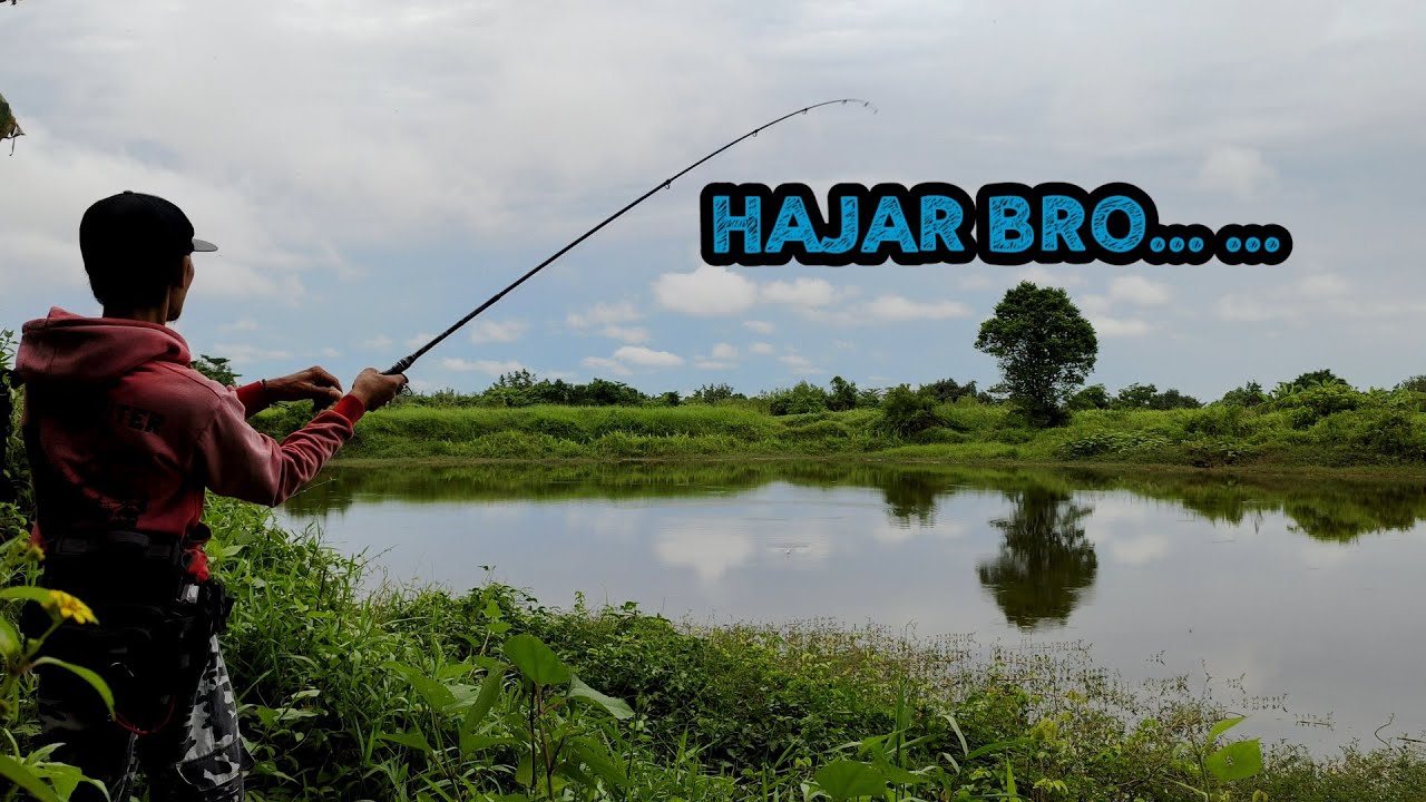 Test Abu Garcia Xrossfield + Abu Garcia Max Pro SP10 buat Casting Gabus dilokasi yang sering dipukat