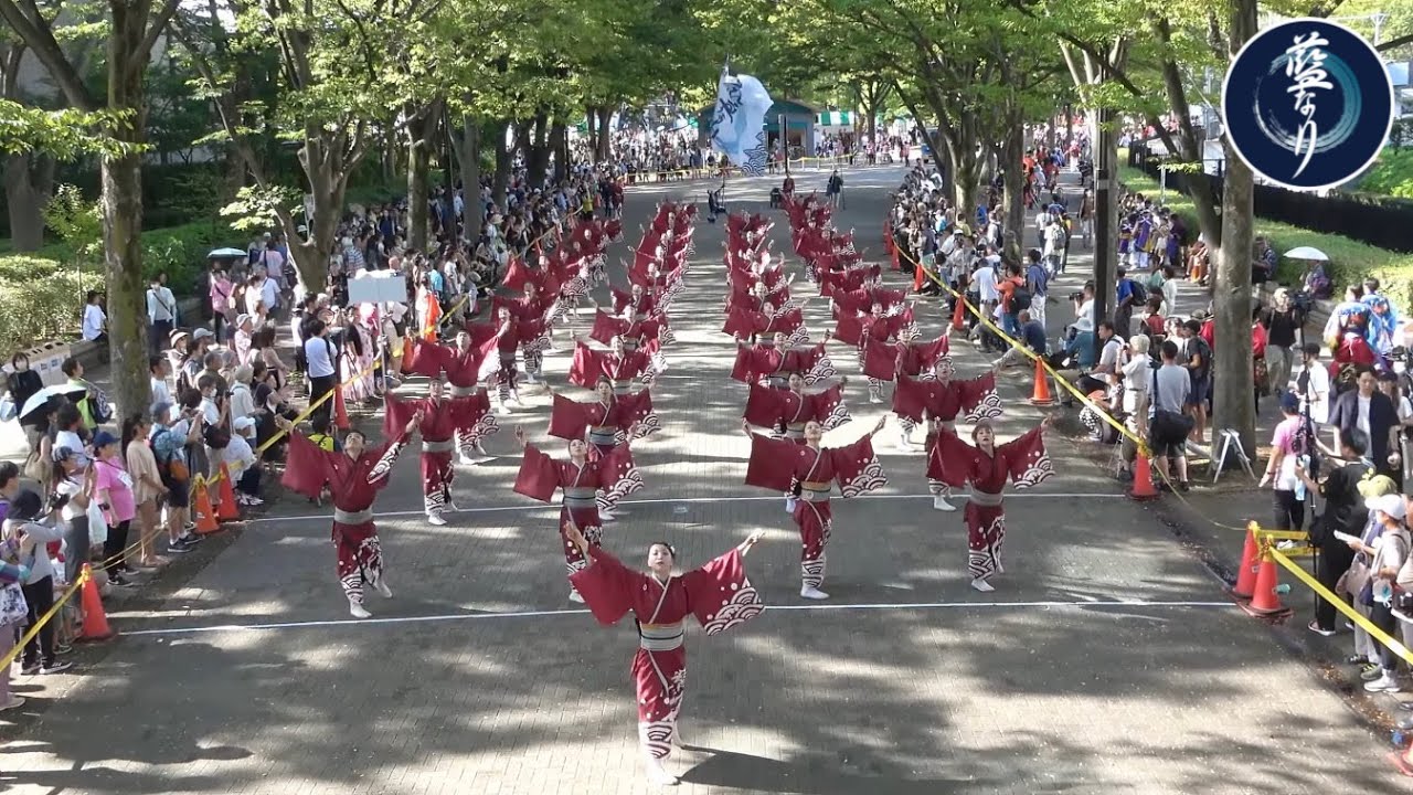 藍なり 原宿表参道元氣祭スーパーよさこい2023 8/27 NHKストリート【鳴動～あらたな時～】