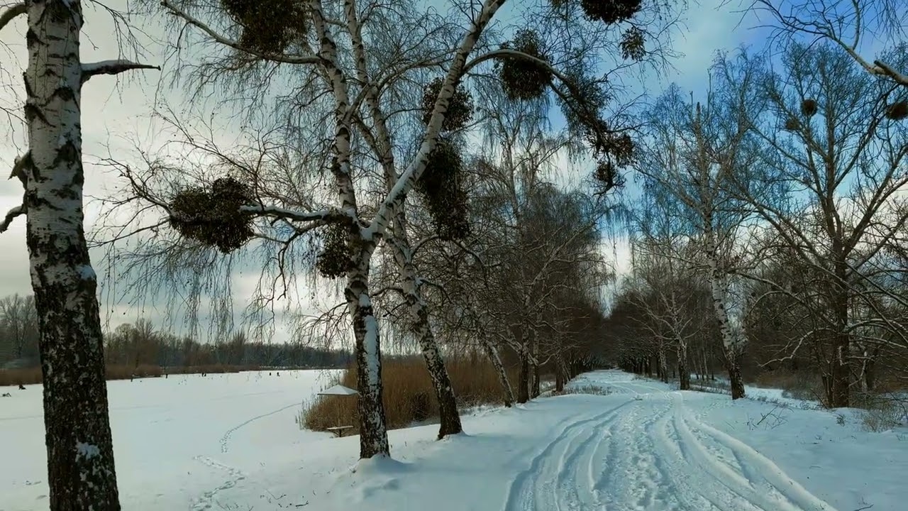 Харків, гідропарк на Баварії