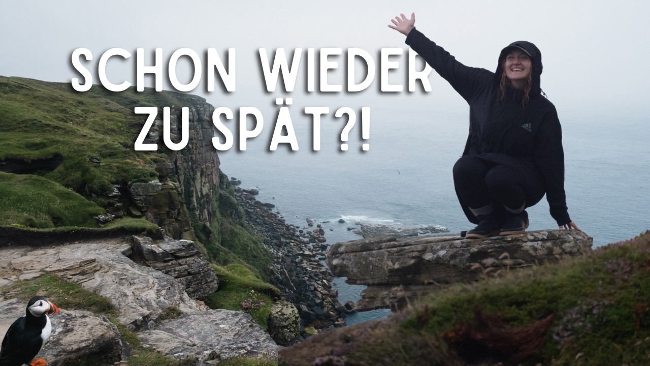 Was wir diesmal erleben, haben wir uns kaum zu hoffen gewagt – ein Puffin - Moment?🐧 | Van Life UK