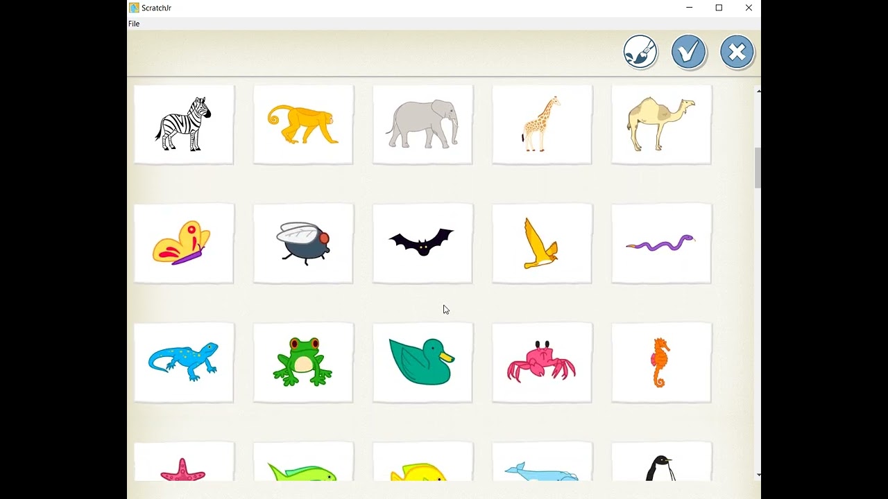 Animais e letras