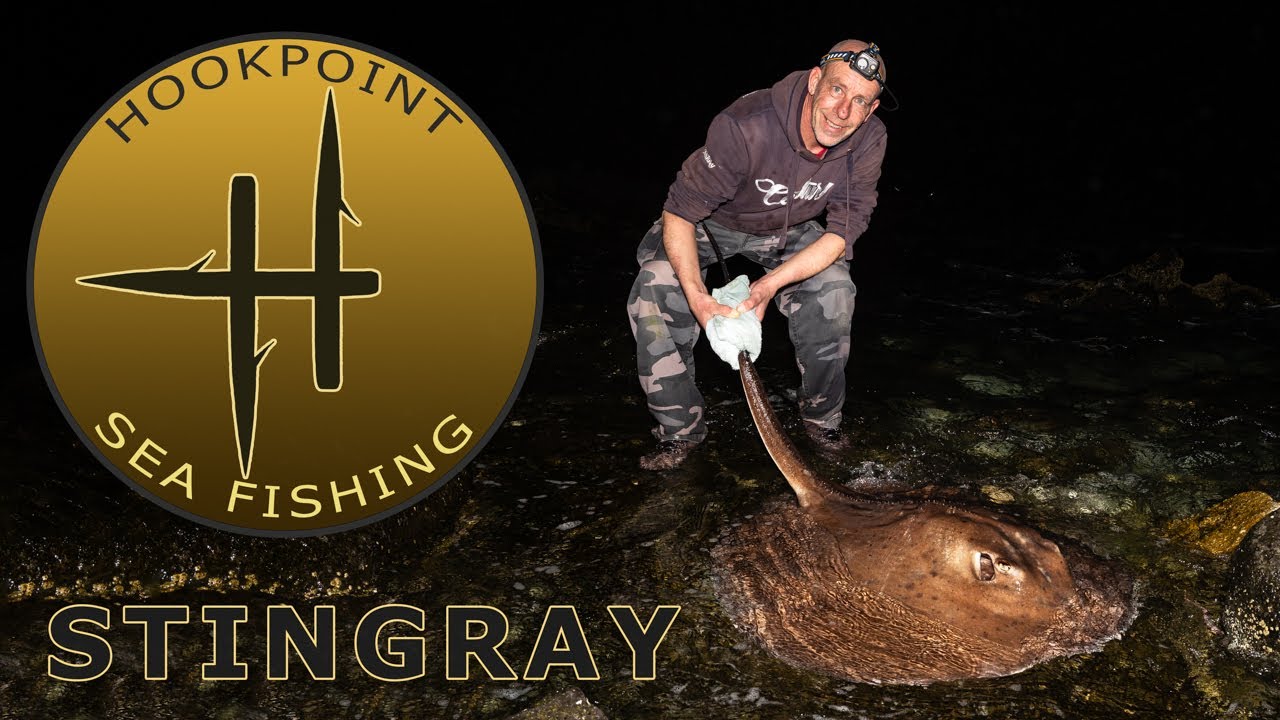 How to Catch BIG Stingray in the Canary Islands (Fuerteventura) - Features HUGE RECORD BUSTING FISH!