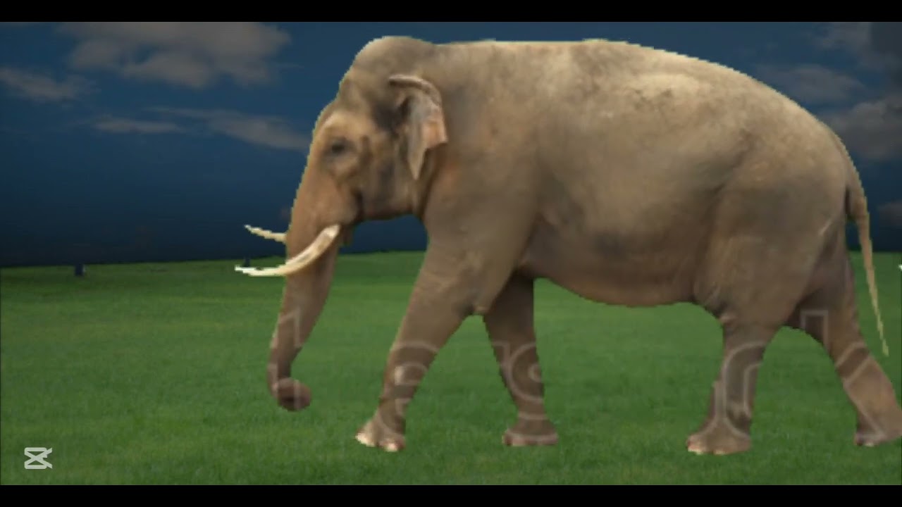 Many horses chasing of marching Elephants