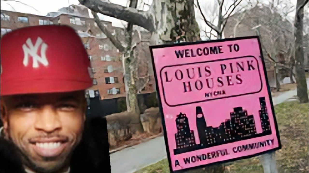 BROOKLYN CRIME, PRISONS AND PINK HOUSES - SIM BUSHWICK 