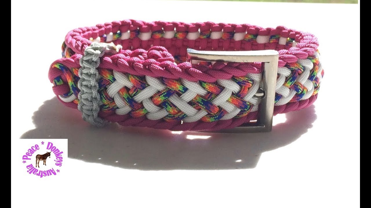 Crown Trail paracord dog collar - fully adjustable